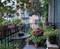 Thiết kế ban công nhỏ thành không gian thư giãn ngoài trời lý tưởng