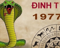 Sinh năm 1977 năm 2025 có làm nhà được không