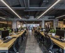 Giải pháp thiết kế thi công nội thất văn phòng đẳng cấp, chuyên nghiệp